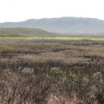 Wilson Promontory Park